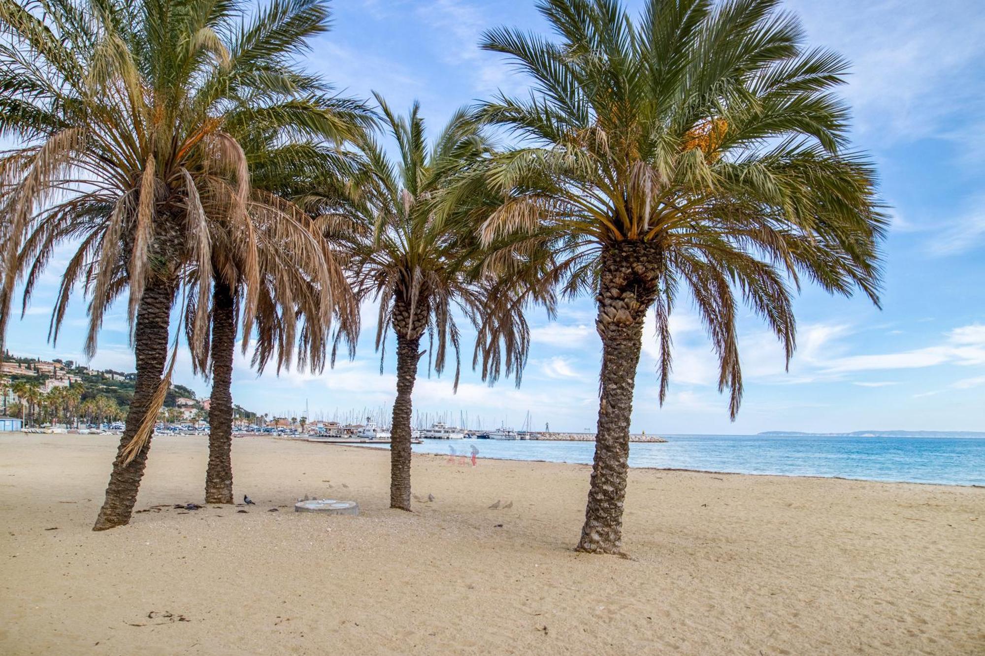 Nouvelle Ere - Appt A Moins D'Un Km De La Plage Le Lavandou Eksteriør billede